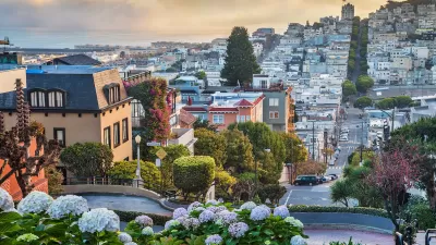View of San Francisco neighborhood from top of hill with misty bay in background.