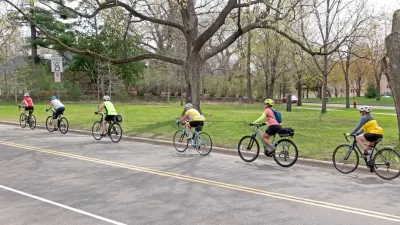 Row of six cyclists riding down asphalt road with large trees on side.