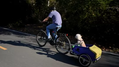 Man riding e-bike pulling trailer with small dog in it on paved path.