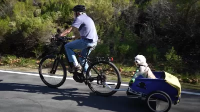 Older man riding e-bike with cargo trailer with small white fluffy dog looking at camera on paved bike trail.