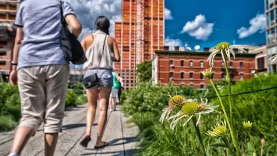 Low close-up of yellow flowers and pedestrians walking on New York City's High Line linear park.