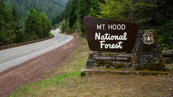 Sign for Mt. Hood National Forest sign on roadside.