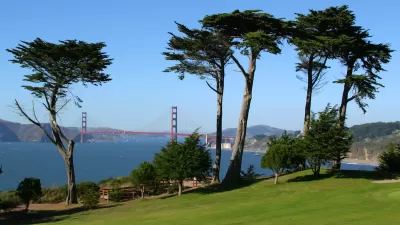 View of Golden Gate Bridge from Presidio Golf Course with tall trees in foreground in San Francisco, California.