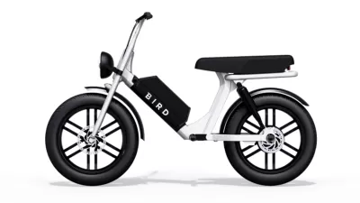 Bird Cruiser