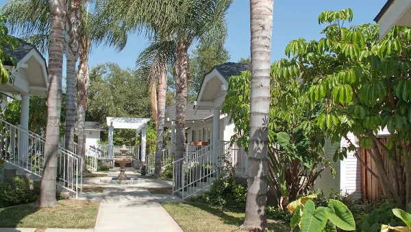 One-story bungalow court complex in Pasadena, California with leafy green palm trees.