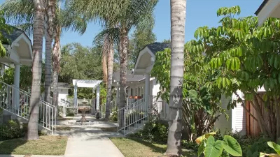 One-story bungalow court complex in Pasadena, California with leafy green palm trees.