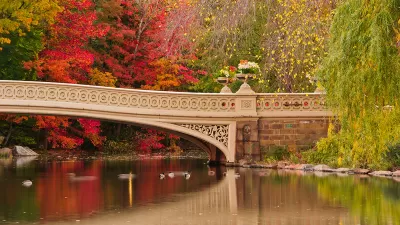 Central Park The Lake