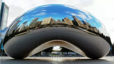 Bean06_Crop