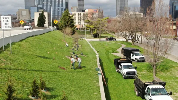 People planting tree seedlings on grassy side of roadway in Louisville with downtown skyline visible in background.