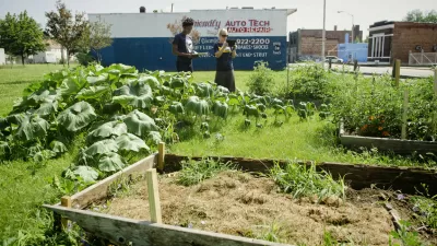 Urban Garden