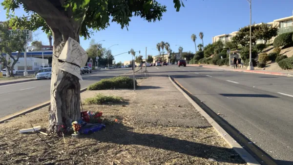 Memorial for a child killed by a car in San Diego under a tree on a curbside.