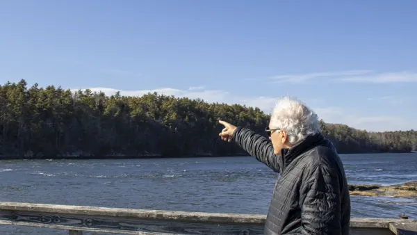 A man points at trees over water