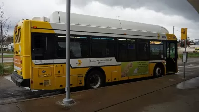 Yellow and white city bus at stop in Dallas, Texas.