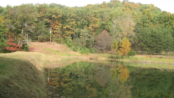 Thick green forest on edge of lake in Louisville, Kentucky.