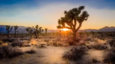 California Desert