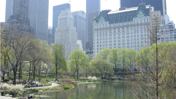 Central Park - Manhattan, New York