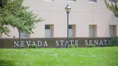 Nevada Grass