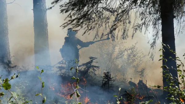 Through a haze of smoke, a firefighter sprays water in a burning forest.