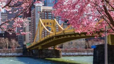One of Pittsburgh’s bridges is visible through cherry blossoms, with downtown high-rises in the background.