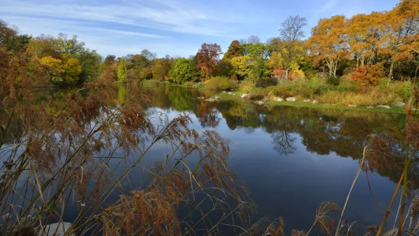 Prospect Park Lake in Brooklyn with fall foliage on surrounding trees.