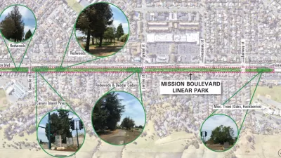 Map showing Mission Boulevard Linear Park in Hayward, California and bubbles highlighting types of trees along park area.