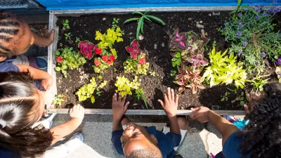 Overhead view of young children looking at plants growing in raised planter box.
