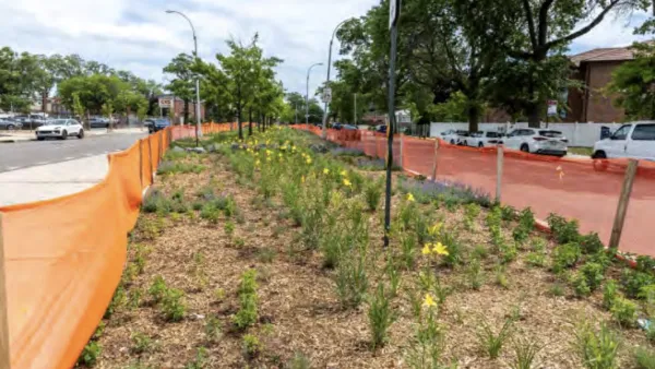 A median in NYC with budding flora.