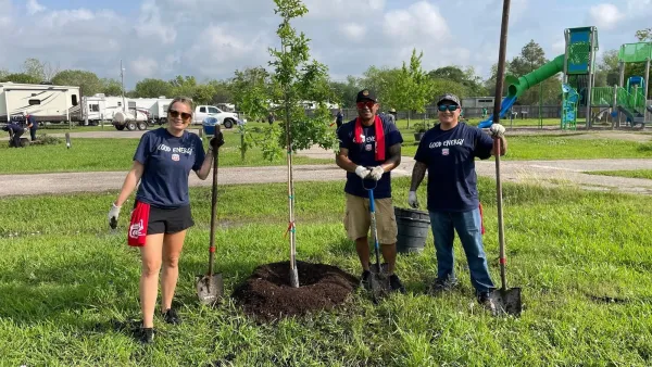 Three people standing next to freshly planted tree, posing for photo.