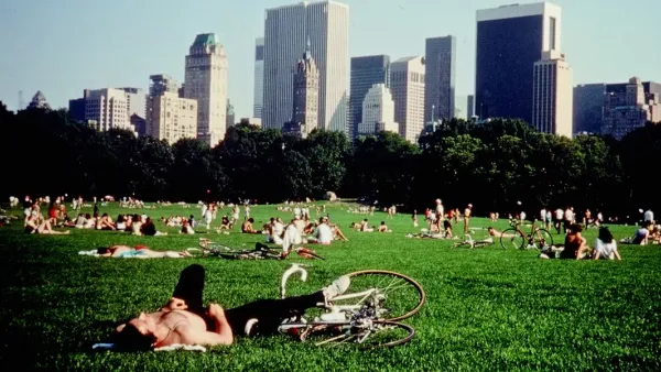 Screenshot of Central Park lawn full of people lying down and hanging out on a sunny day from Frederick Wiseman film.