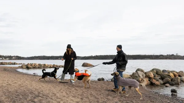 Two people with three dogs on beach in Helsinki, Finland on an overcast day.