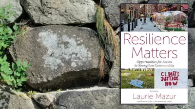Ivy-covered stone wall and cover of Resilience Matters e-book