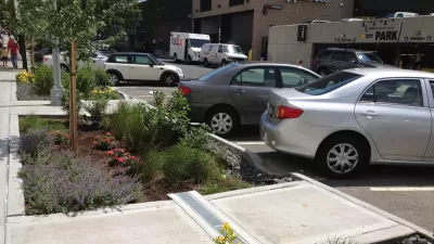 Bioswale