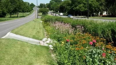 bioswale
