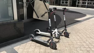 Bird Scooter