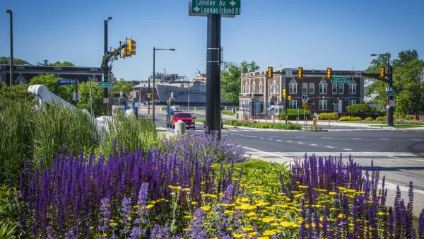 Purple and yellow flowers in foreground of street scene in Philadelphia, Pennsylvania, on a sunny day.