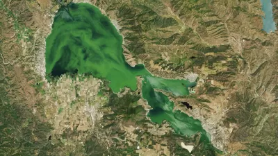 Satalite image of a bright green lake surrounded by brownish-green land