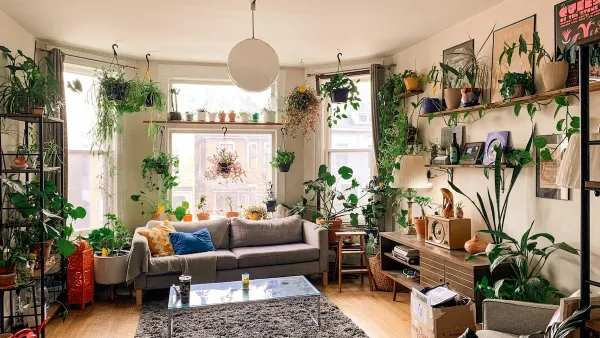 A living room in Logan Square, Chicago, IL with white walls and large windows filled with lots of plants and furniture.