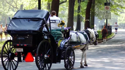 Horse Carraige