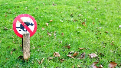 Dogs and Lawns