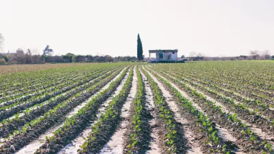Agricultural Land