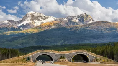 Wildlife crossing bridge over roadway in Banff, Canada with snow-topped mountains in background