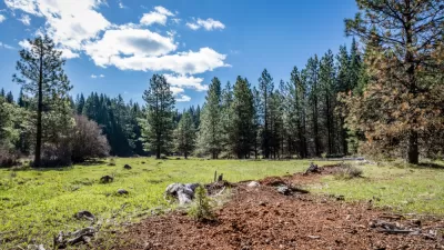 Logging