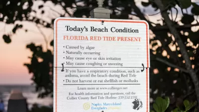 Florida Beach