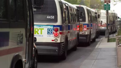 CTA Buses