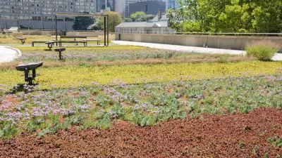 Green Roof