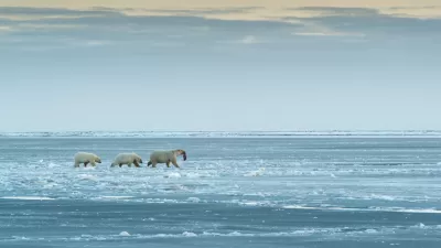 Arctic National Wildlife Refuge