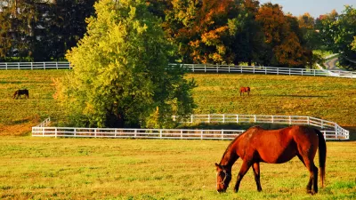 Horse Farm