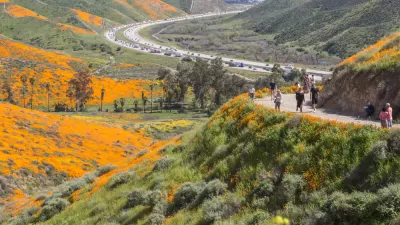 California Spring