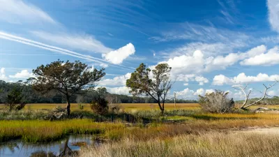 Clam Creek, located on coastal Georgia's Jekyll Island, is a popular place for birders, photographers and cyclists. Its salt marsh is a great place to watch wildlife.