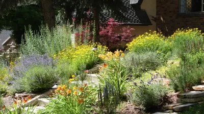 Front yard landscaped with native plants and flowers